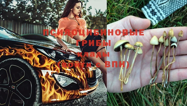 прущая мука Алексин