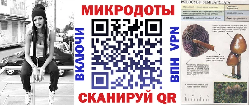 Псилоцибиновые грибы Cubensis Каргат